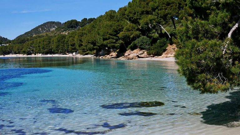 cala mosques na majorce