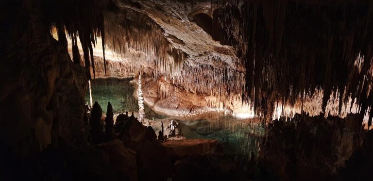 cuevas del drach majorka porto cristo