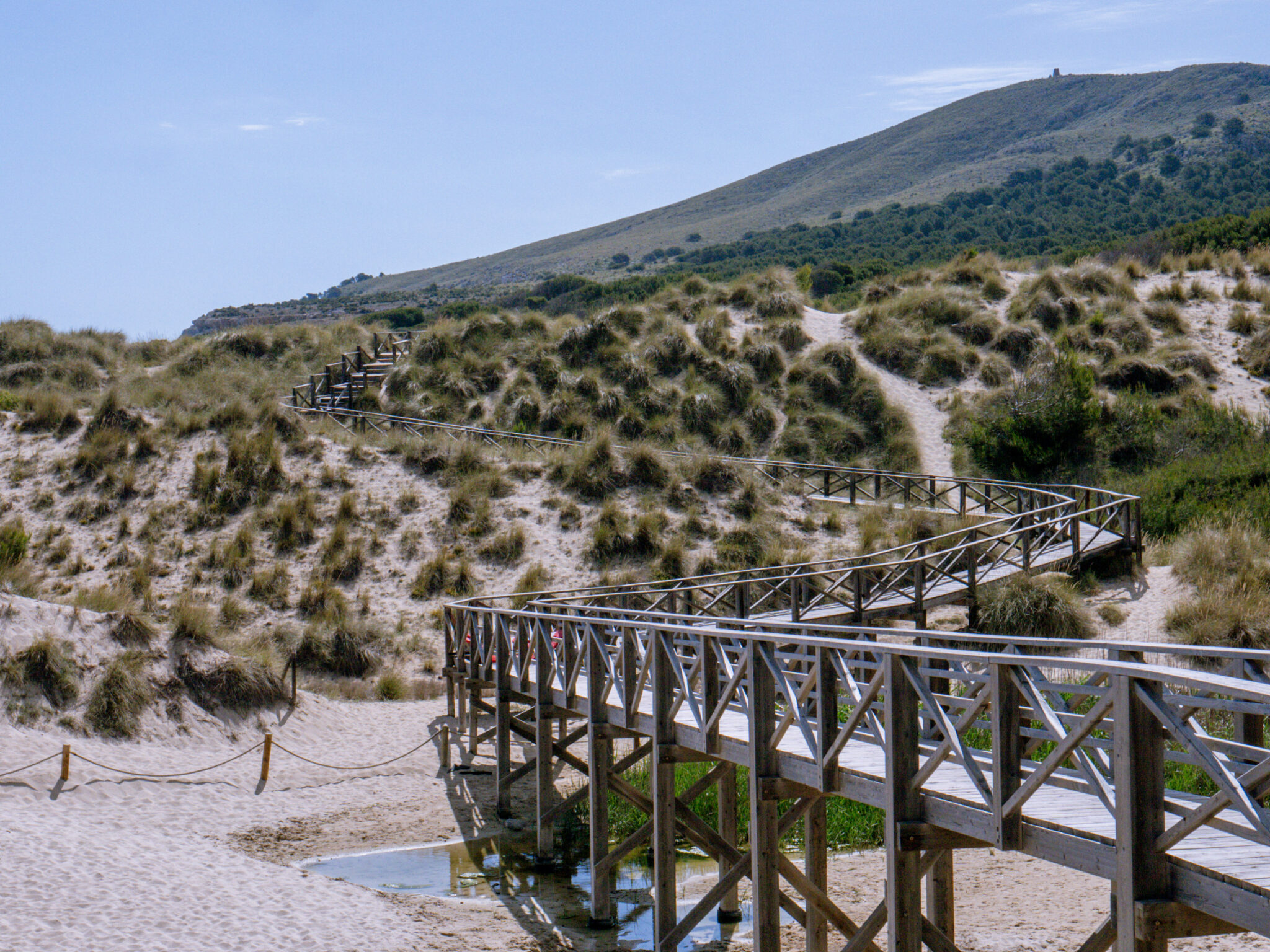 cala mesquida majorka