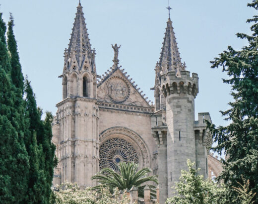 palma de mallorca