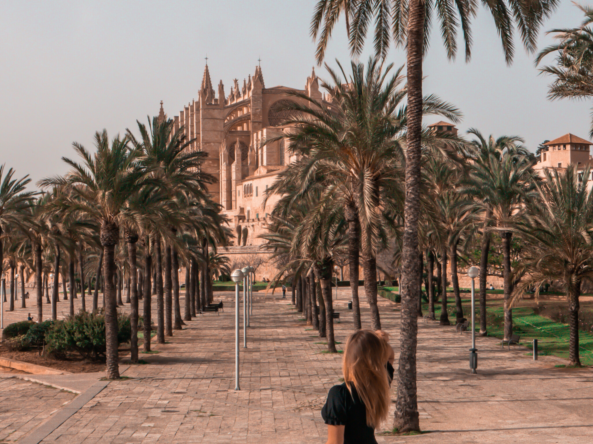 Catedral la seu in mallorca