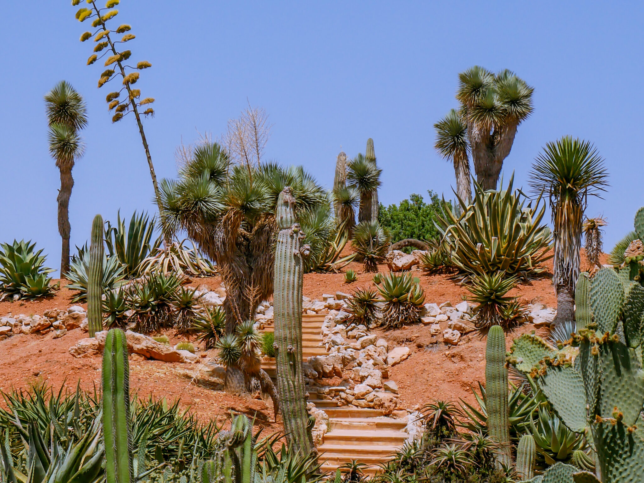 Gardens in mallorca