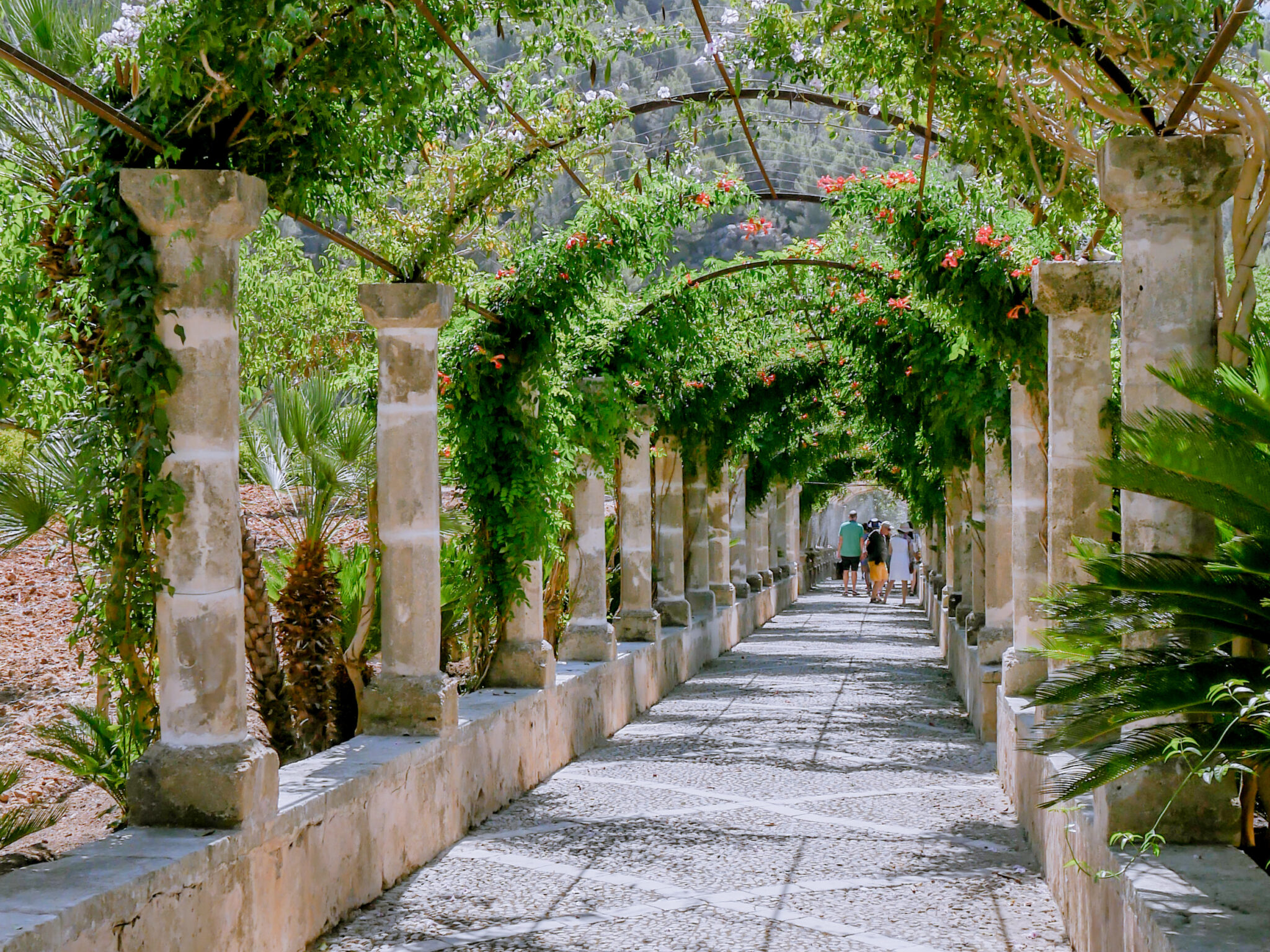 Gardens alfabia in majorca