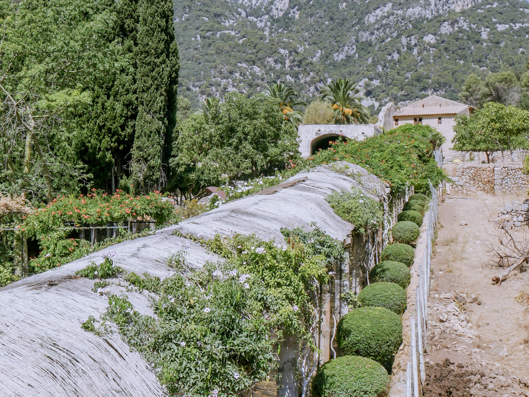 Jardines de Alfabia na Majorce – ogrody na Majorce