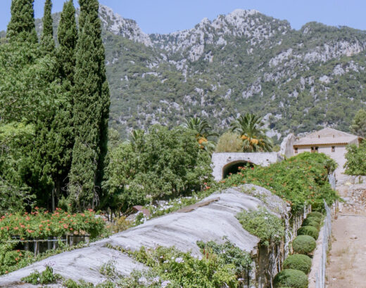 jardines de alfabia