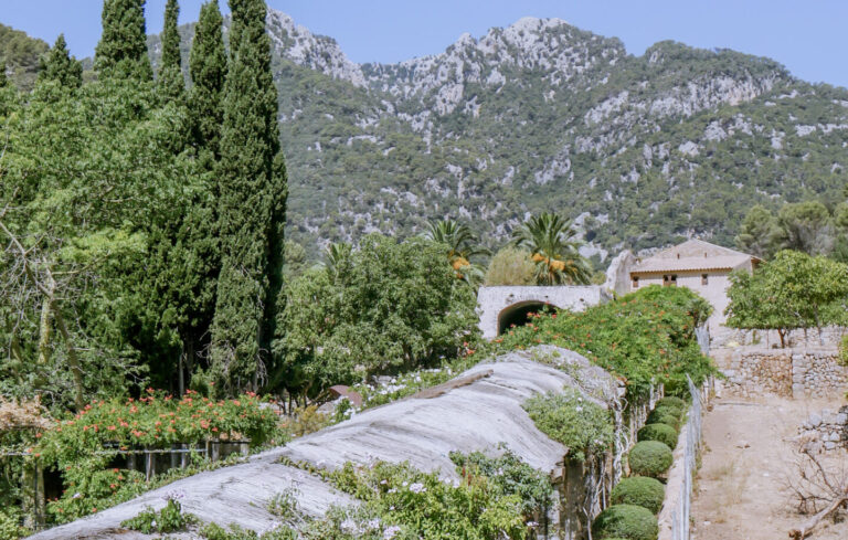 jardines de alfabia