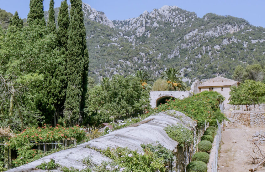 jardines de alfabia