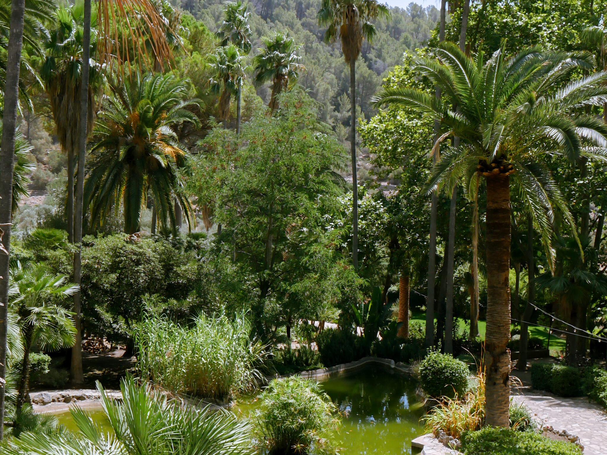 Jardines de alfabia in mallorca