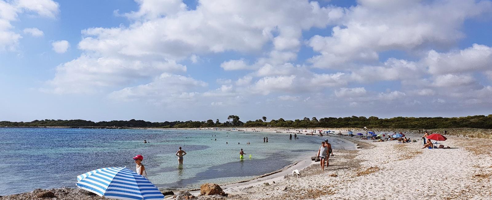 Playa Es Caragol – wild beaches in Majorca.