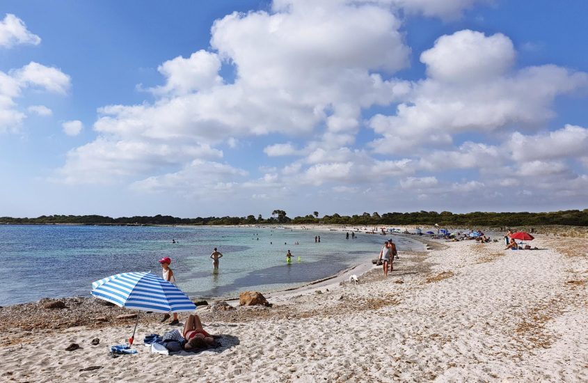 Playa Es Caragol – dzikie plaże na Majorce.