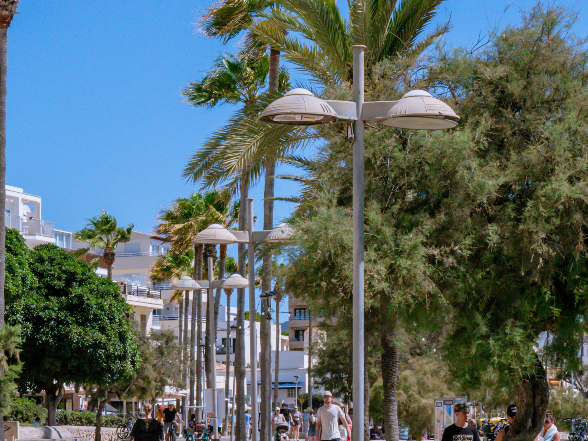 Cala bona in mallorca