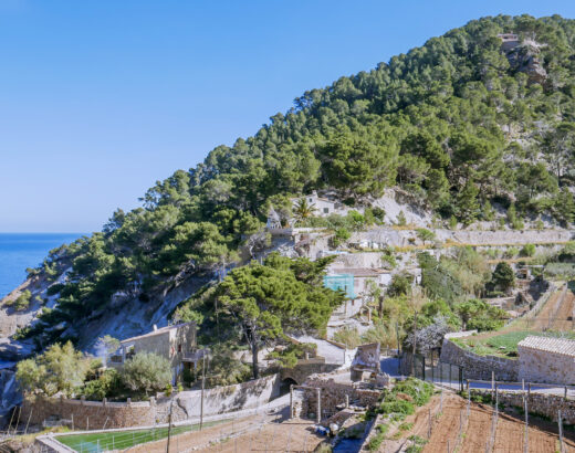 majorca 2025