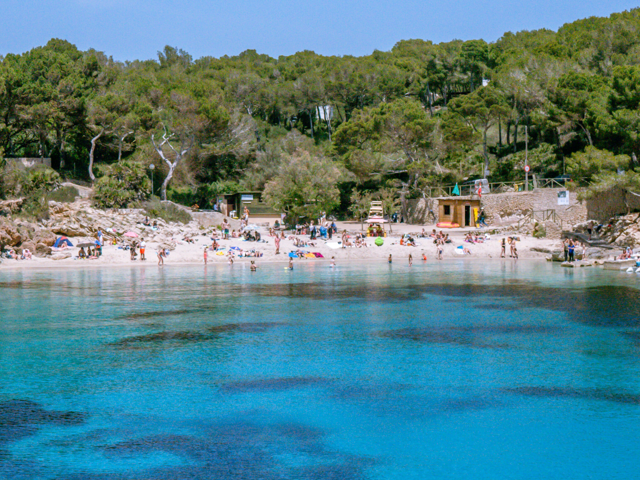 Playa gat cala ratjada