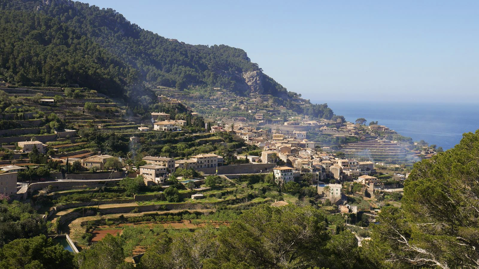 Banyalbufar in Mallorca – wine capitol of Mallorca?