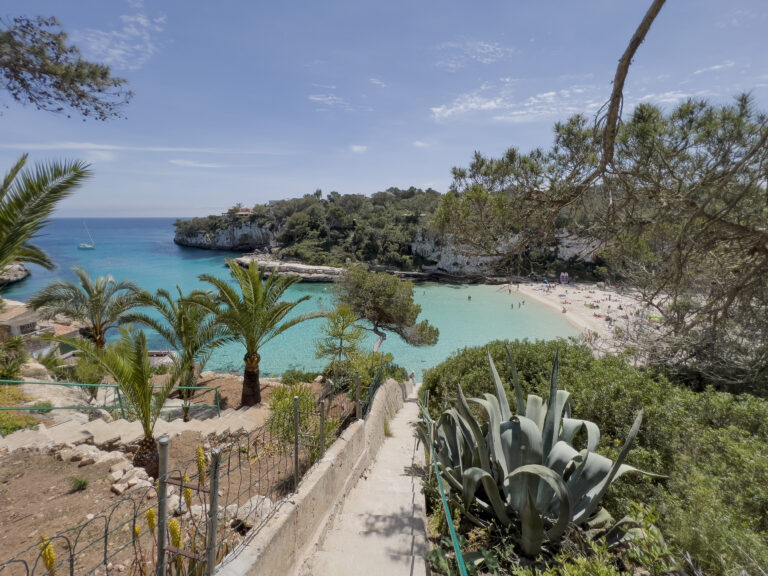 property in mallorca