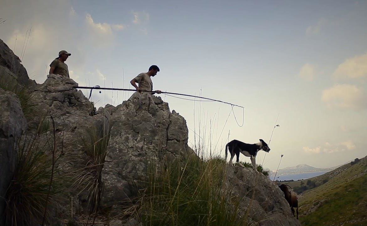 Barbecue on the beach and hunting in Majorca.