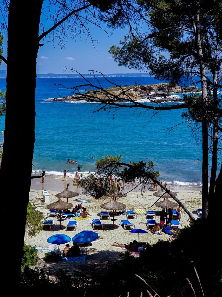 platja de ses illetes na majorce