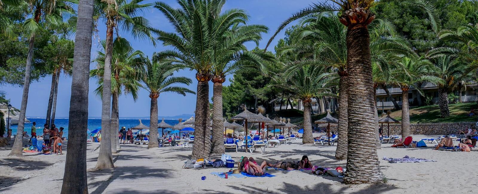 Cala Vinas – one of the beaches with palmtrees in Majorca!