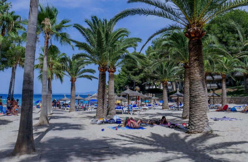Cala Vinyes – mała plaża z palmami na południowym zachodzie Majorki.