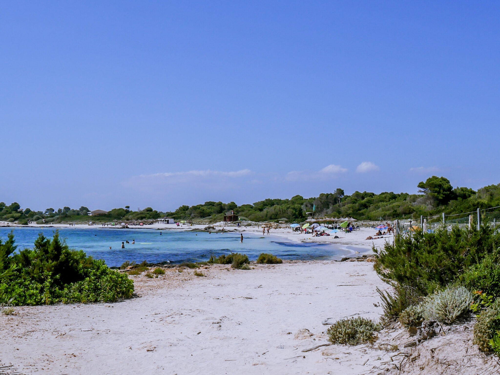 Platja des Dolc in Mallorca