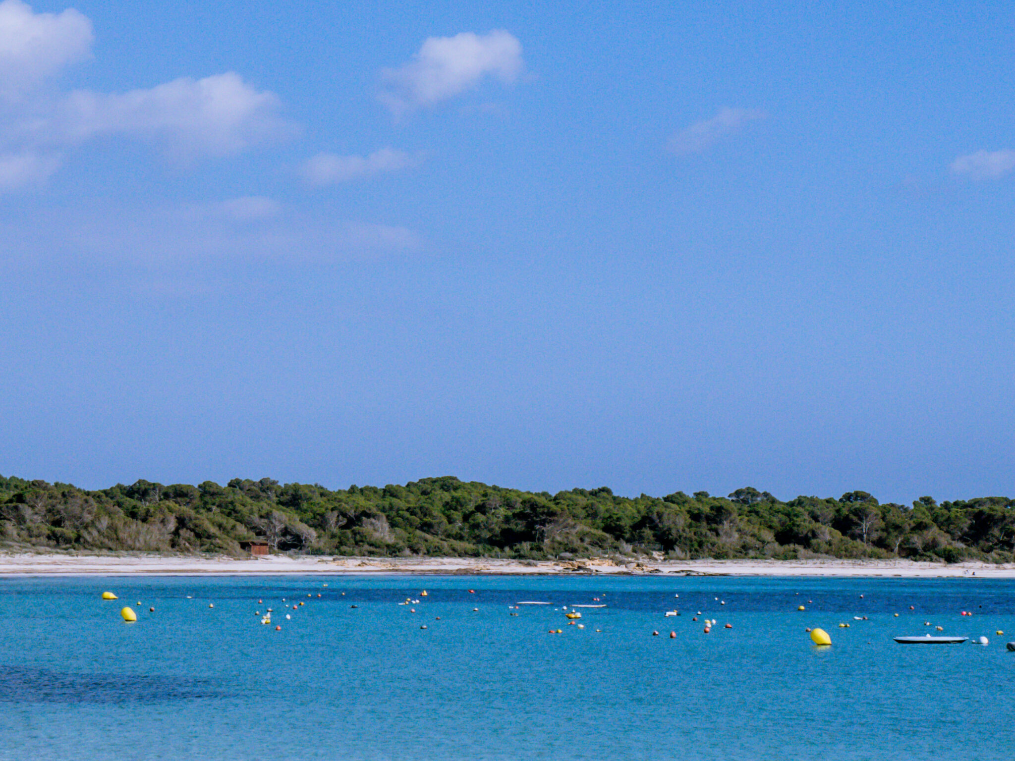 platja es carbo in mallorca