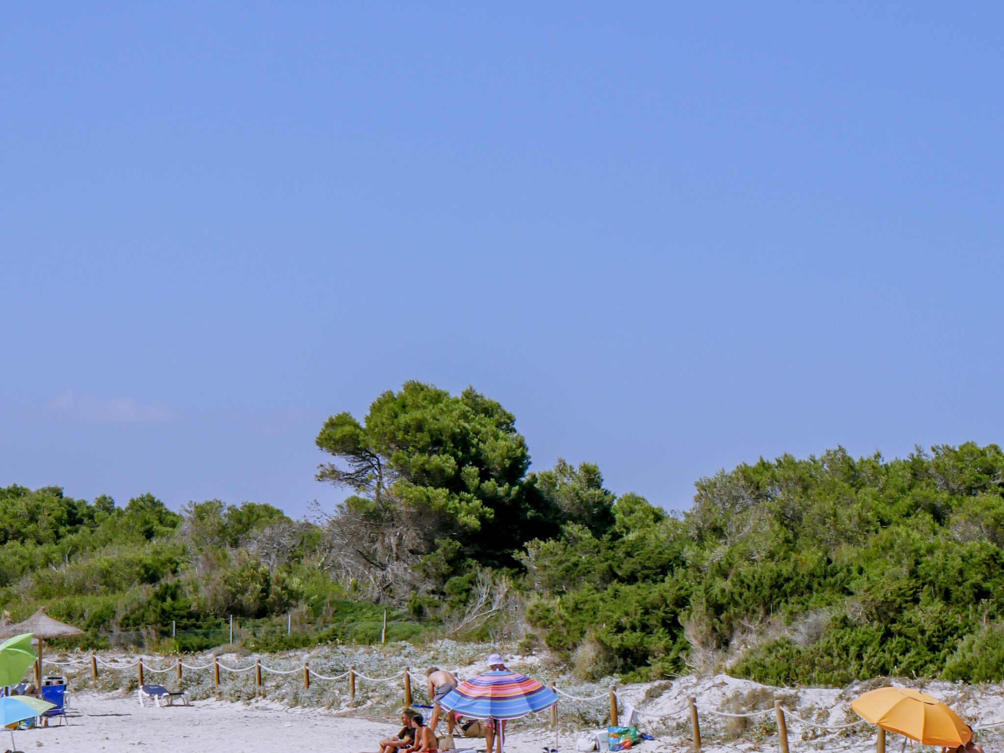 Platja Es Carbo in Mallorca – paradise beach in Mallorca