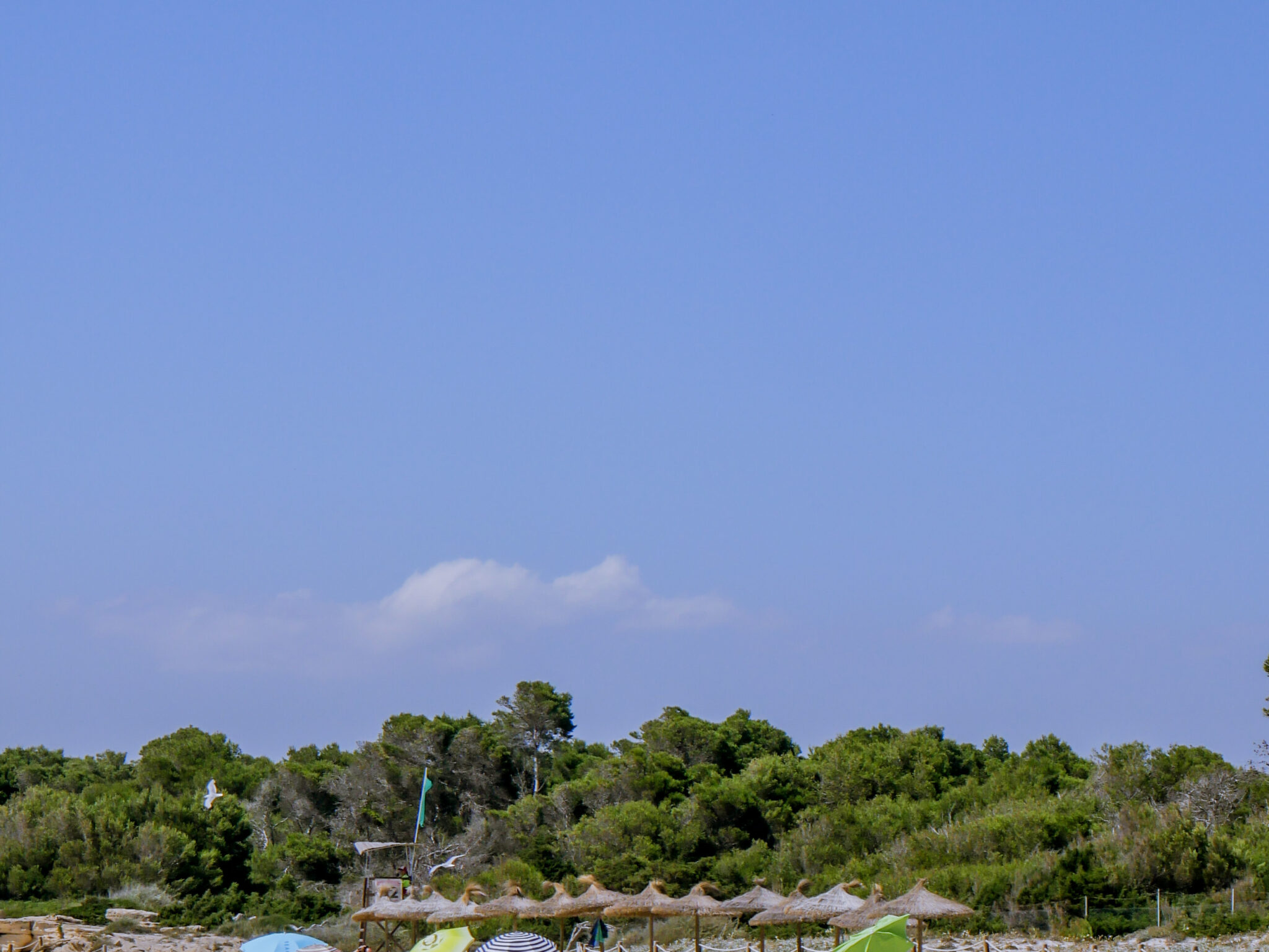 Playa des Dolc na Majorce – egzotyczna plaża na południu Majorki