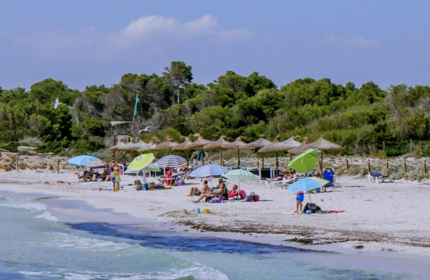 playa des dolc in mallorca