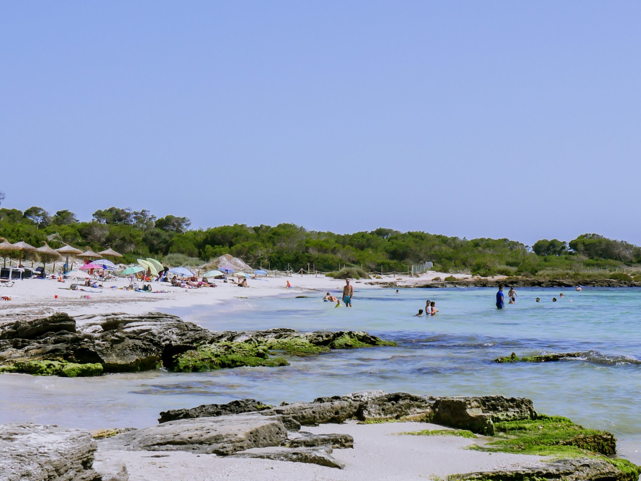 Dolc beach in Majorca