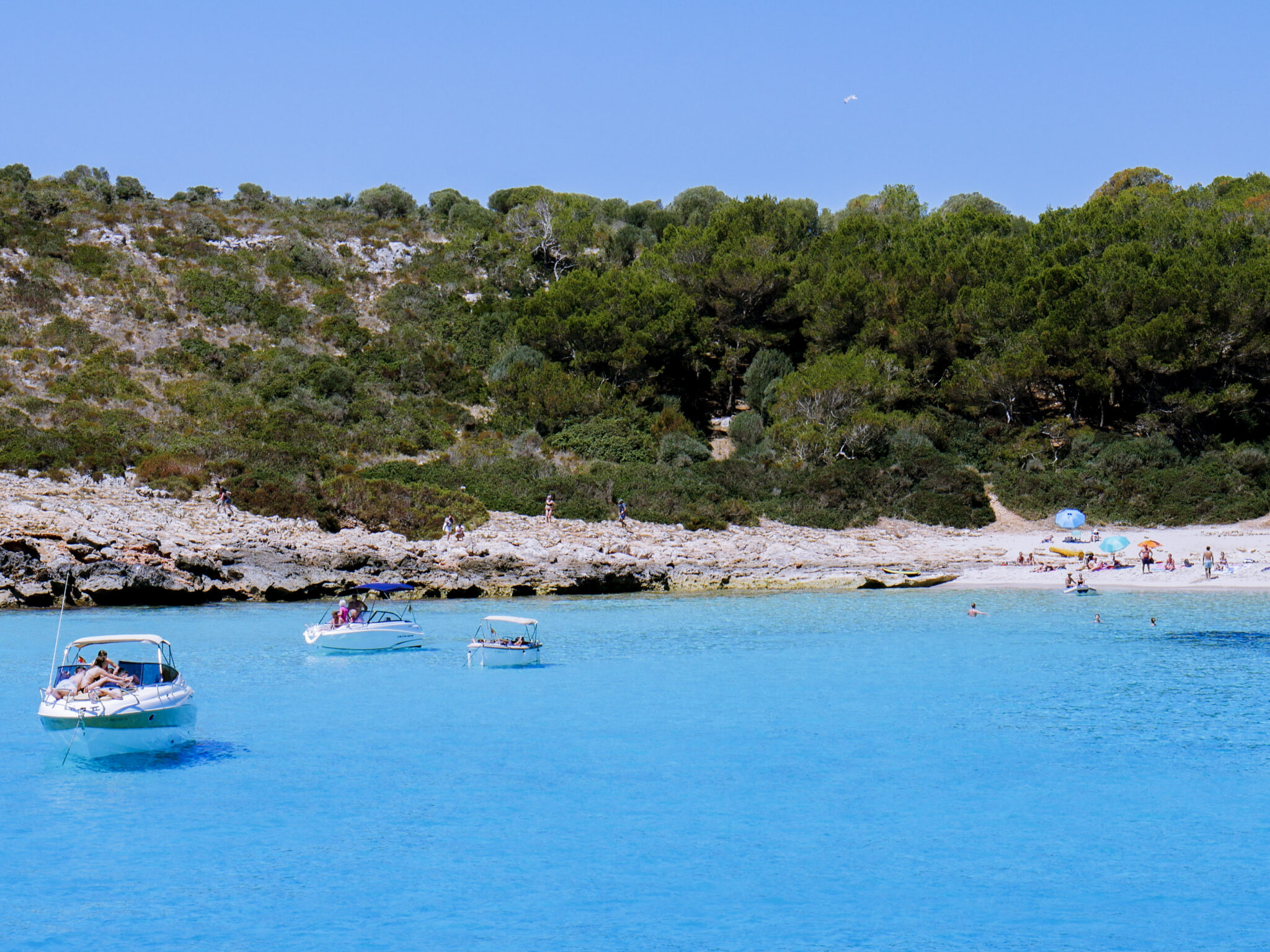 wild bays of mallorca