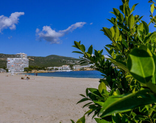 palmanova in mallorca