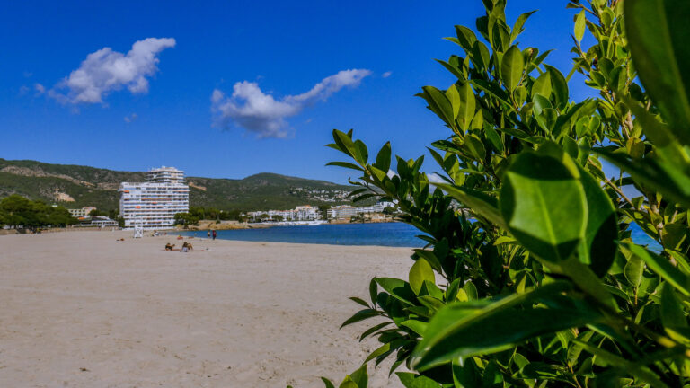 palmanova in mallorca