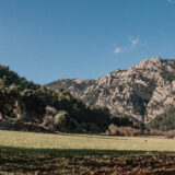 salt des freu in mallorca