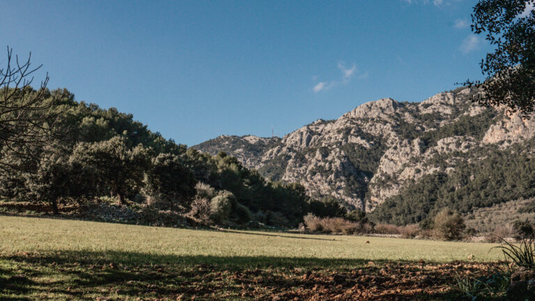 salt des freu in mallorca