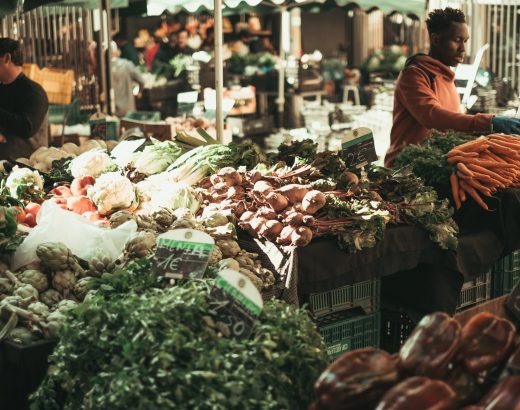 photo of assorted vegetables