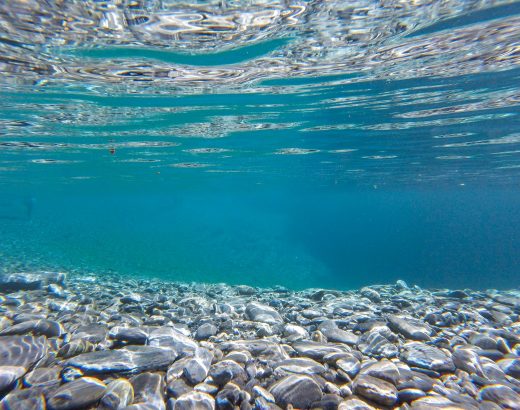 underwater photography of clear water