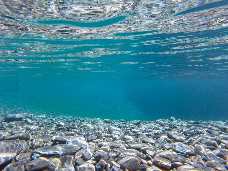 underwater photography of clear water