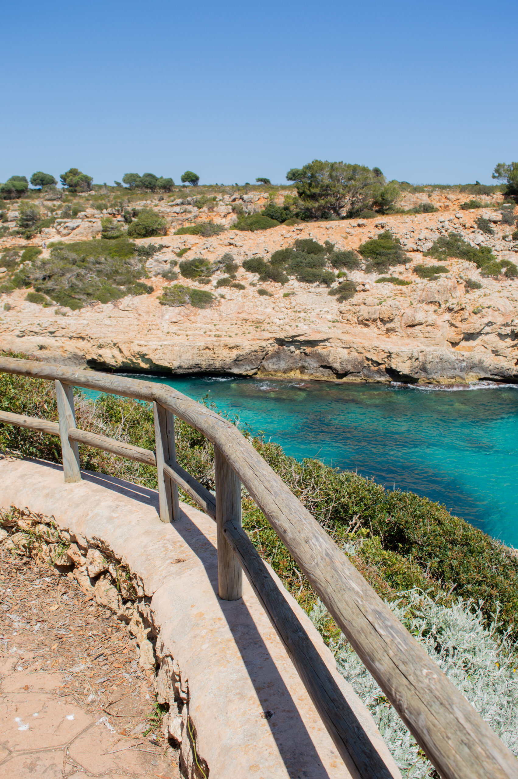 Cala antena