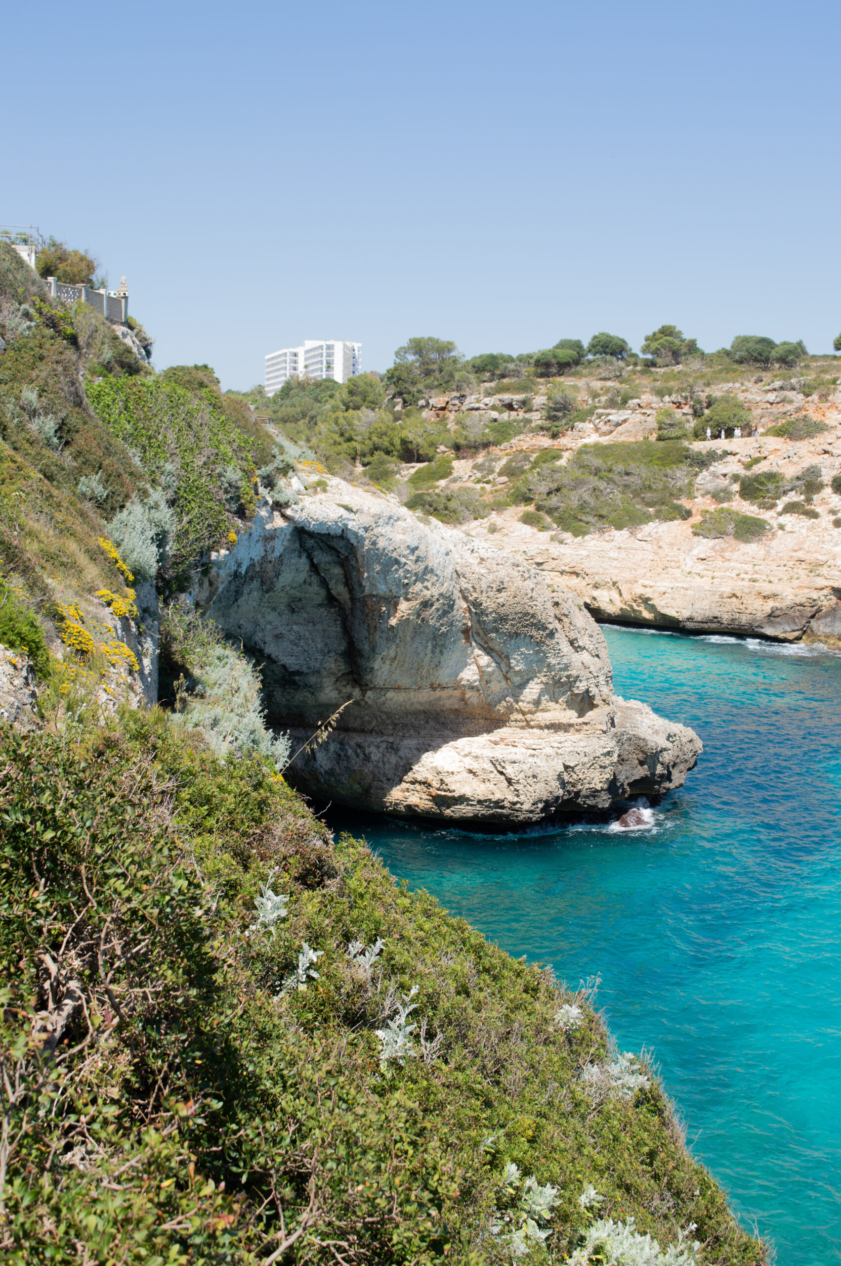 Cala antena