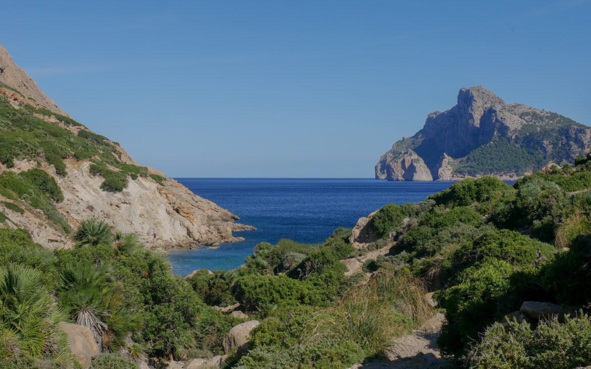 Cala boquer