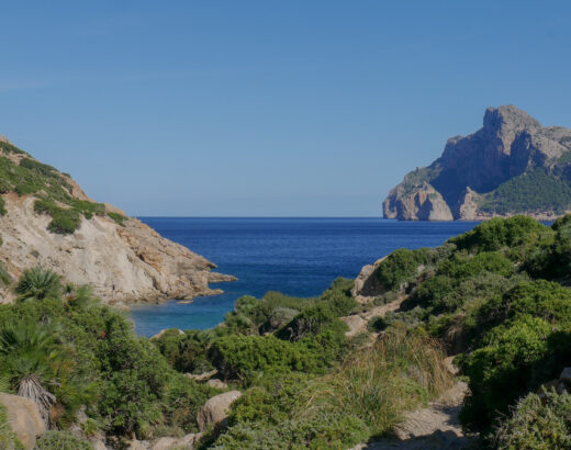 cala boquer