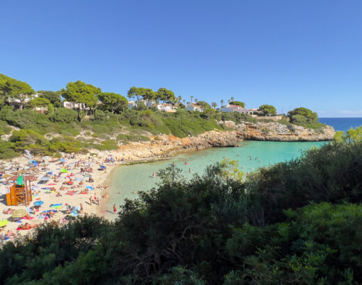 cala anguila
