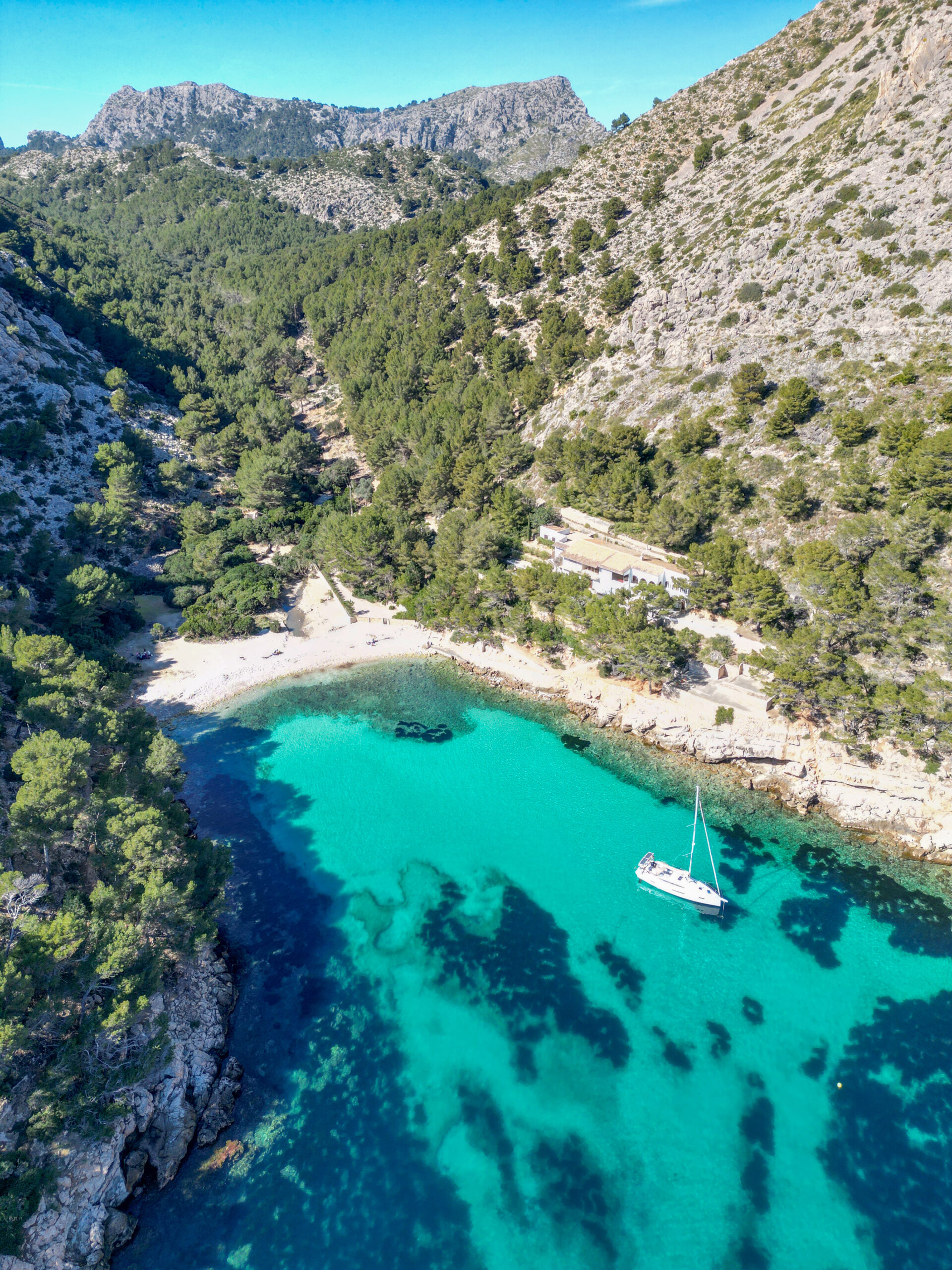Cala murta