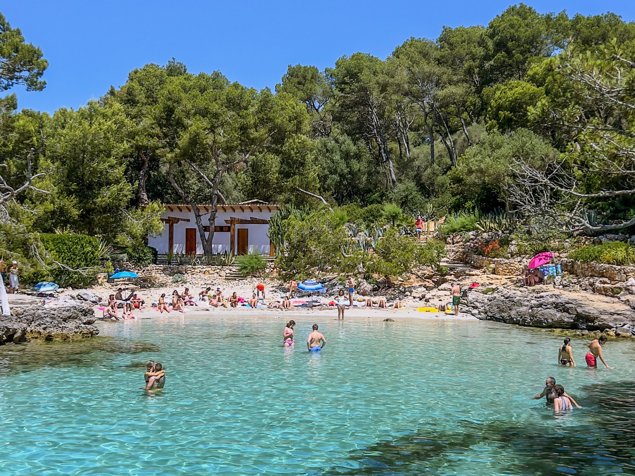 cala mitjana in mallorca