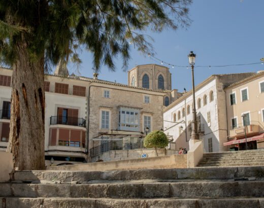 sineu