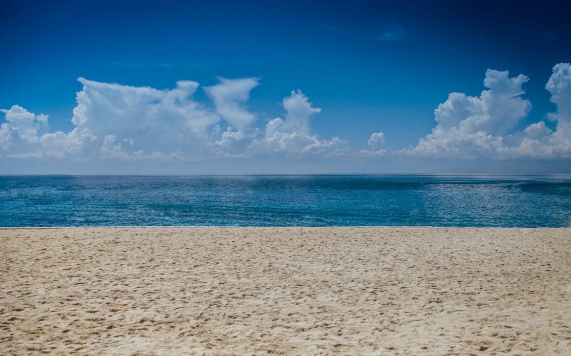 ocean view during daylight