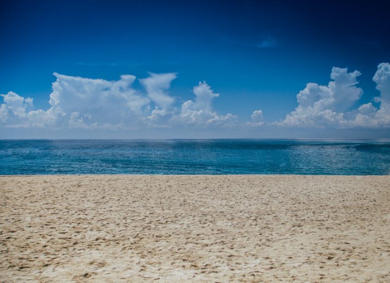 ocean view during daylight