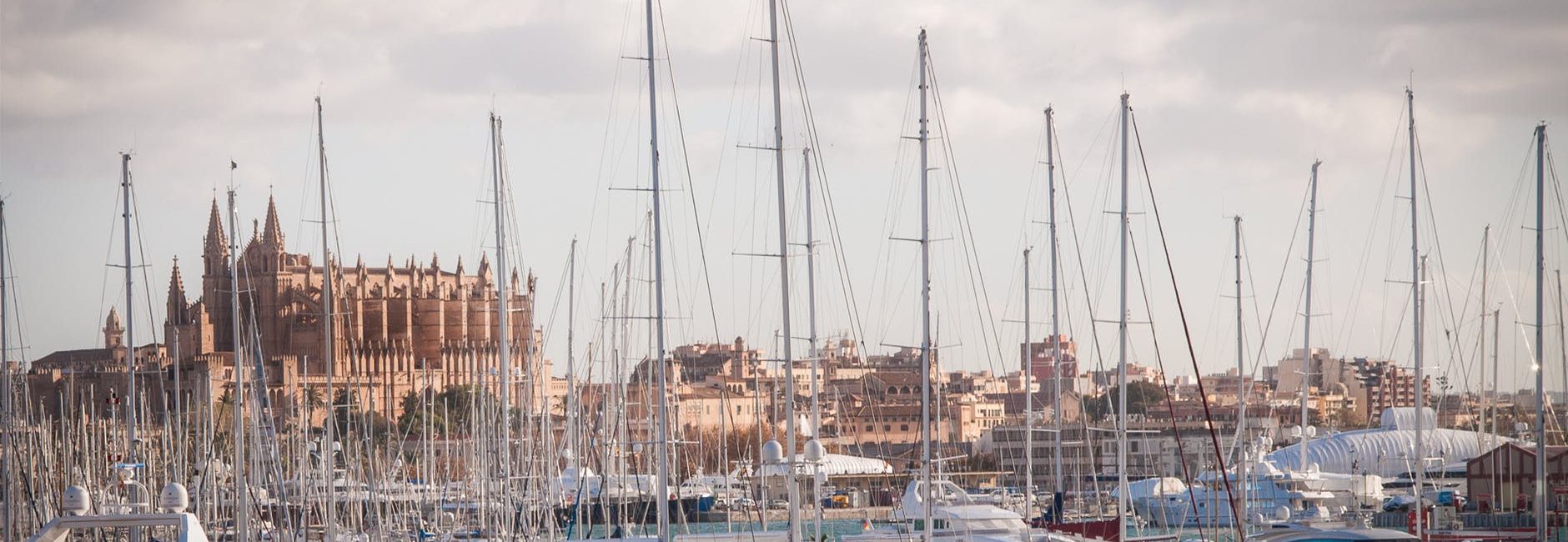 Port Adriano na Majorce – co robić na południu Majorki – wakacje na Majorce