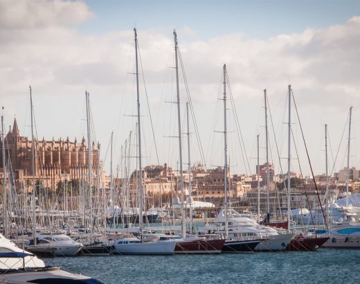 yachts docked at pier