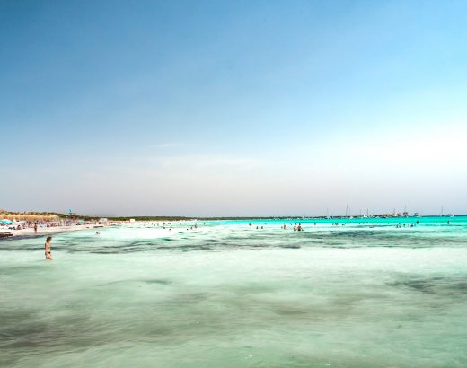 people in the sea beside beach